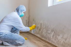 Trusted Summit, IL Mold Removal & Remediation Experts